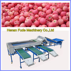 China apple sorting machine, mango sorting machine supplier